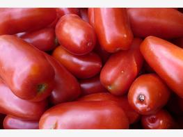 Pomidor 'Auria' - zdjęcie 2