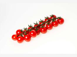 Pomidor koktajlowy 'Koralik' - zdjęcie 3